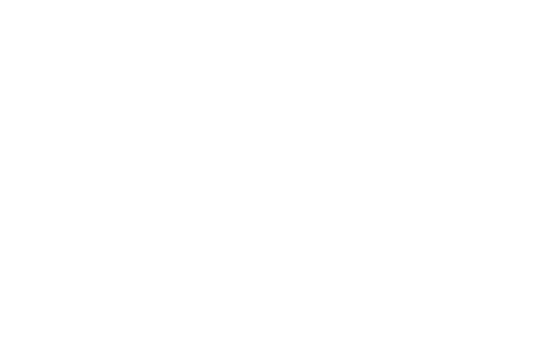 Lincoln Financial